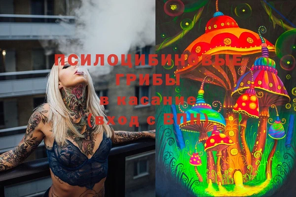 мет Белокуриха
