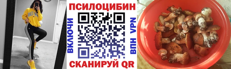 Купить где  Клинцы  Псилоцибиновые грибы мухоморы 
